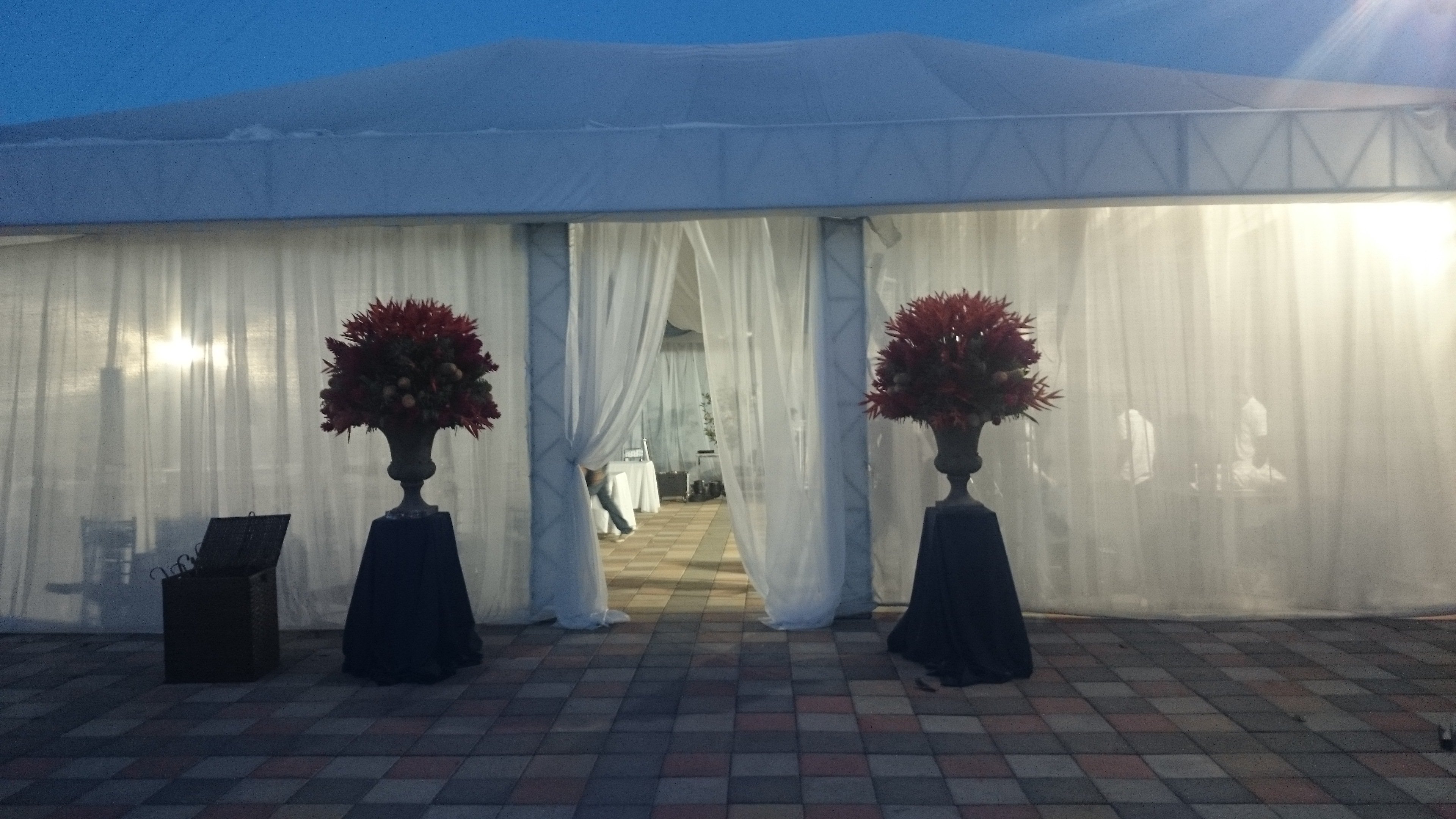 Montajes de carpas